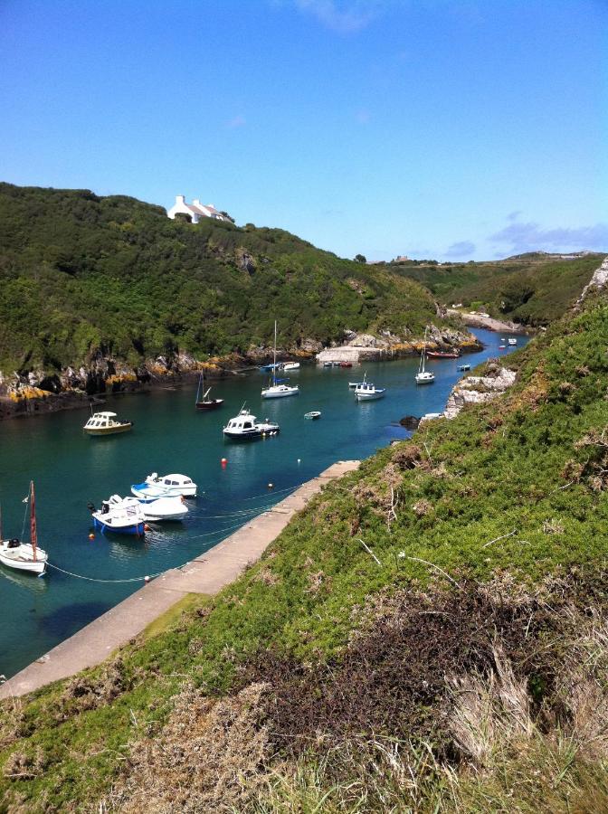 Ramsey House - Luxury Licensed B&B - Parking And Guest Lounge St. Davids  Dış mekan fotoğraf
