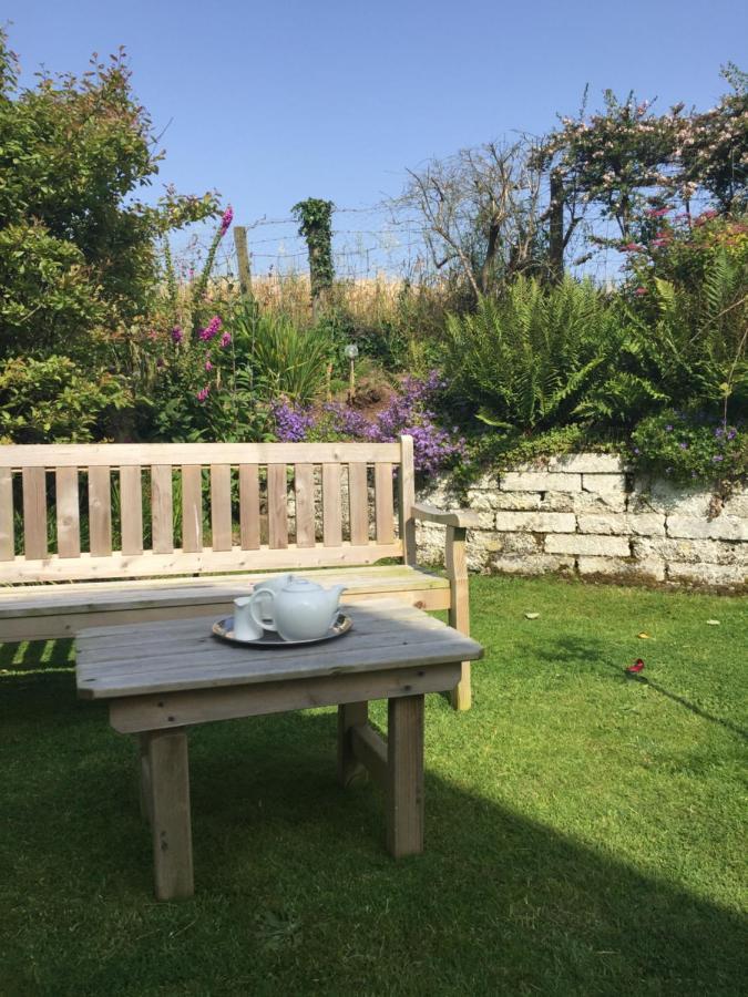 Ramsey House - Luxury Licensed B&B - Parking And Guest Lounge St. Davids  Dış mekan fotoğraf
