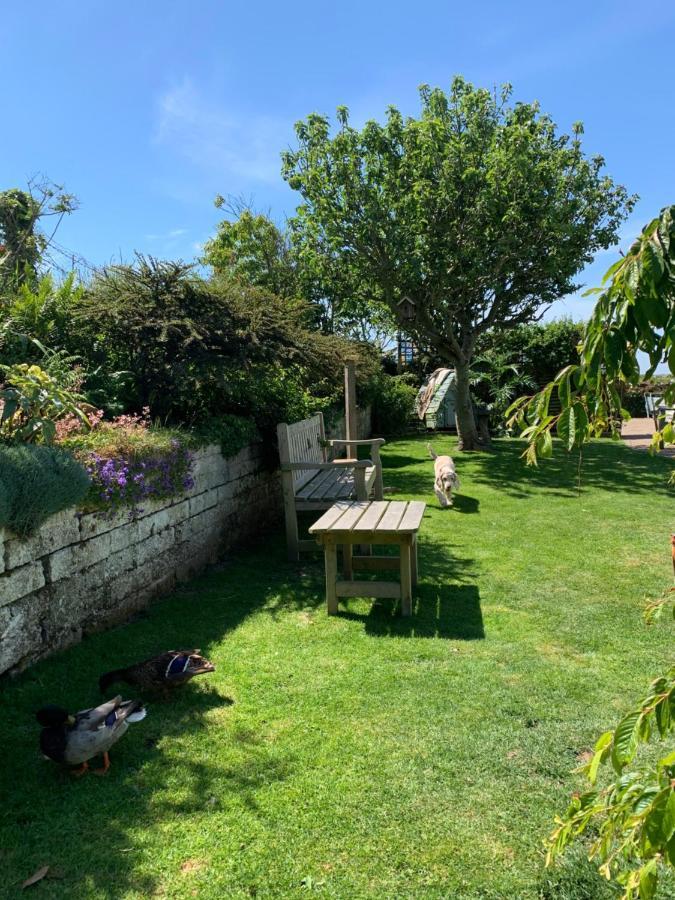 Ramsey House - Luxury Licensed B&B - Parking And Guest Lounge St. Davids  Dış mekan fotoğraf