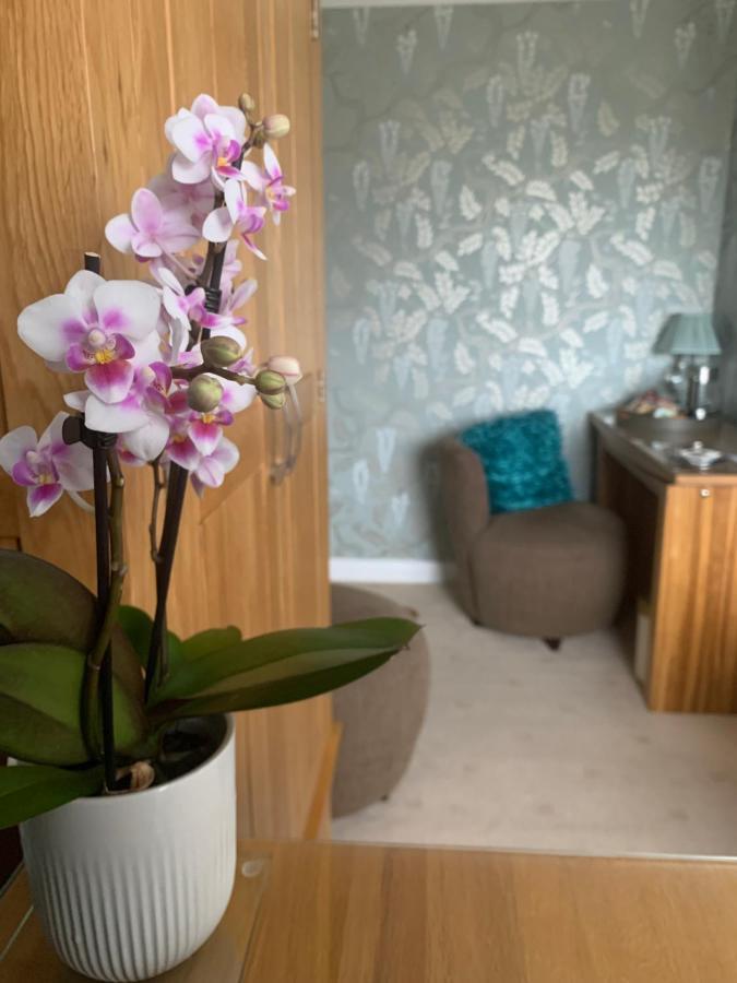 Ramsey House - Luxury Licensed B&B - Parking And Guest Lounge St. Davids  Dış mekan fotoğraf